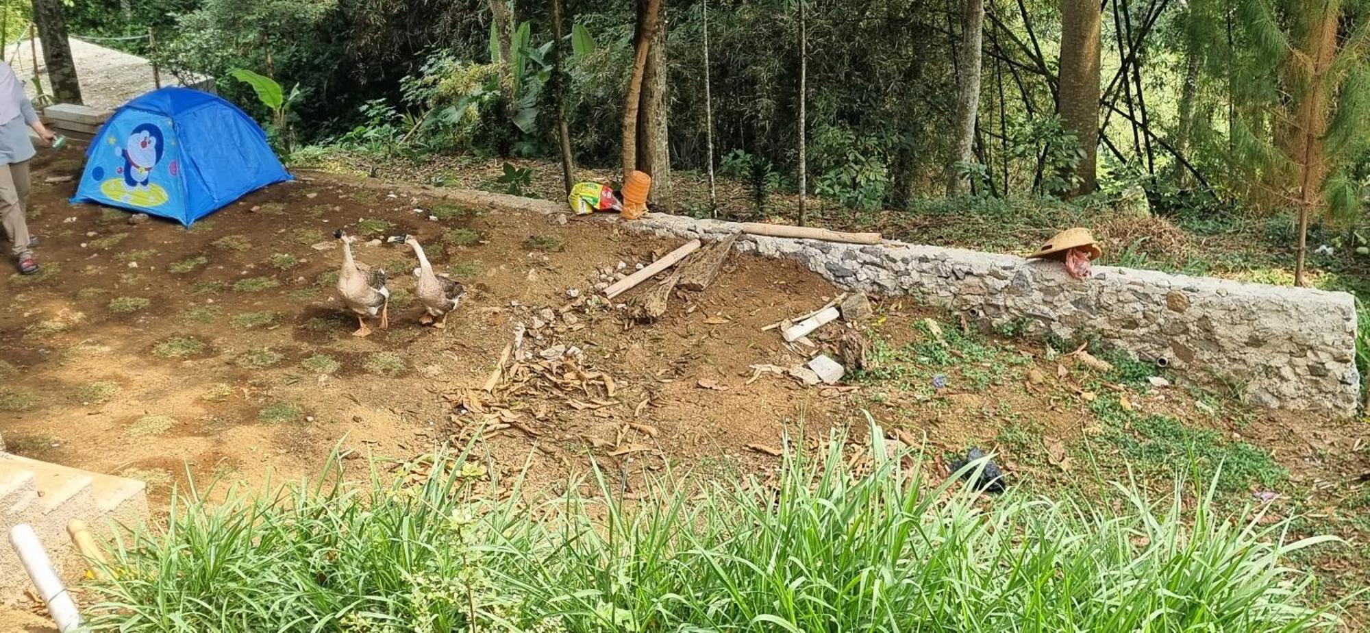 Villa Rumah Jiddah ボゴール エクステリア 写真